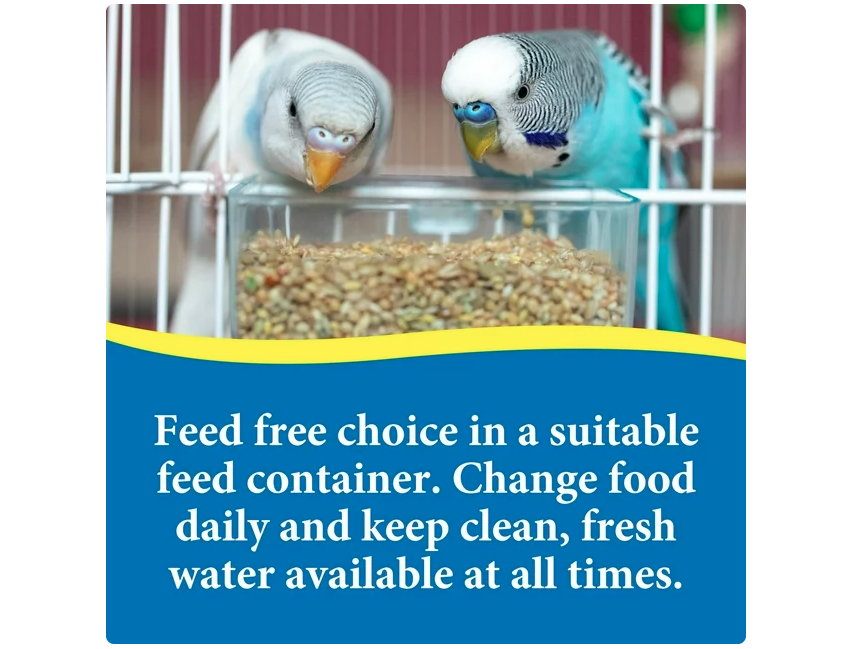 3-D Pet Products Premium Parakeet Food, with Probiotics, 5.0 lb. Stay Fresh Jar, for Daily Feeding - Amado Deals - wholesale and distributors with free shipping in United States 3-D Pet Products Premium Parakeet Food, with Probiotics, 5.0 lb. Stay Fresh Jar, for Daily Feeding - Amado Deals - wholesale and distributors with free shipping in United States